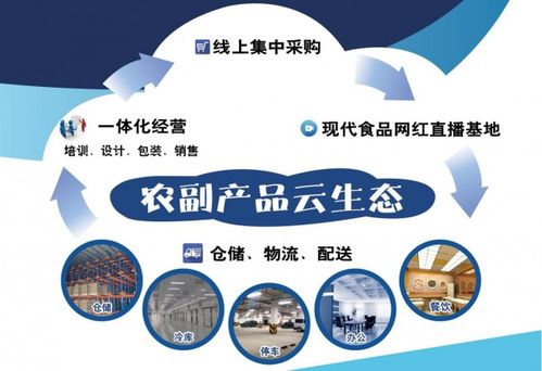 现代联合集团旗下浙江食品市场 食品供应链环节多重优势与专业服务解析